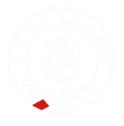 Logo Brazilian Jiu-Jitsu Evolution 74